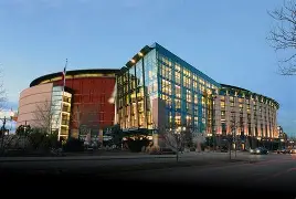 夏洛特黄蜂微博 夏洛特黄蜂微博