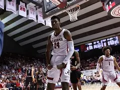 夏洛特黄蜂微博 夏洛特黄蜂微博